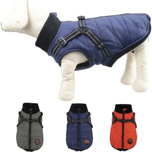 Pet Cotton Coat Dogs Chest Back Integrated Thickened Quilted Coat Soft Knitted Collar Cotton Vest Gear Zipper