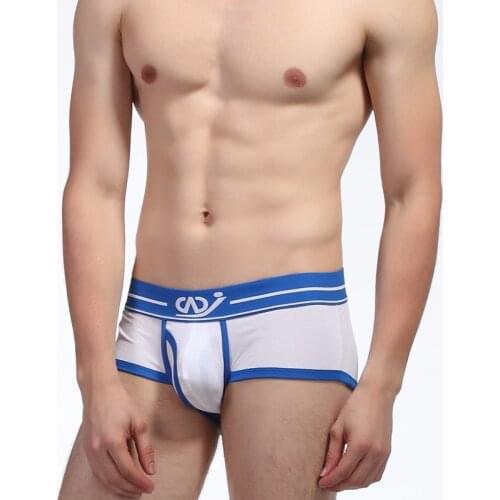 Sexy Men GAY Underwear Boxer Shorts Trunks Cotton Modal Mens Underwear Boxers Penis Pouch U Convex Man Underpants