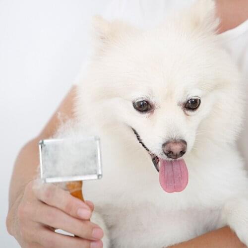 Cat and Dog General Professional Molding Comb Wooden Handle