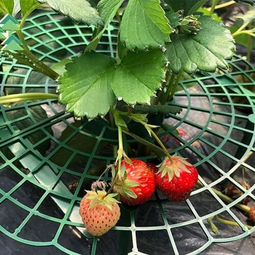 3/12/21PCS Strawberry Climbing Stand Frame Holder Balcony Planting Climbing Rack Fruit Support Plant Flower Climbing Frame