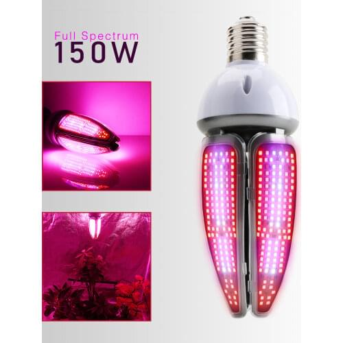 Xingruyu Plant Lamps