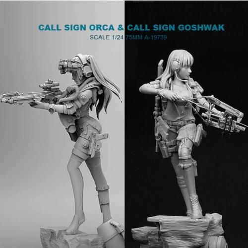 1/24 Resin Kits Killer Whale Beauty Shooter + Modern Female Archer Resin Soldier (2piece) (75mm) A-19739