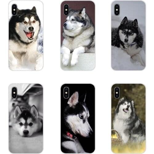 For Huawei G7 G8 P8 P9 P10 P20 P30 Lite Mini Pro P Smart Plus 2017 2018 2019 Alaskan Malamute dog Accessories Phone Shell Covers
