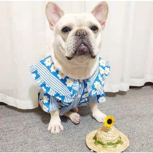 Dog Shirt for Small Medium Dogs Sweet Flowers Print Pet Dog Tshirt Frenchie Shih Tzu Schnauzer Summer Shirts Dogs Pets Clothing