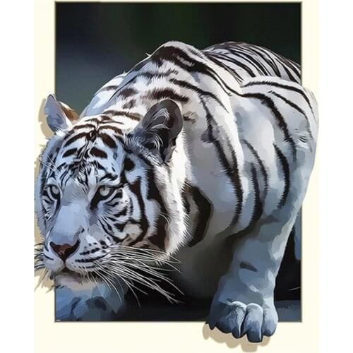 Animals 5D DIY Diamond Painting White Tiger Cross Stitch kits Full Square Diamond Mosaic Picture Of Rhinestones Decoration Home