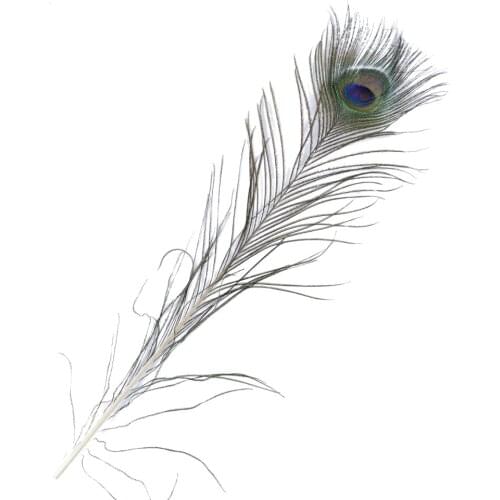 Natural Big Eye Peacock Feathers 40-50 CM/16-20 Inches Decoration for Home Carnival Clothes Sewing Crafts Plume Accessory 50Pcs