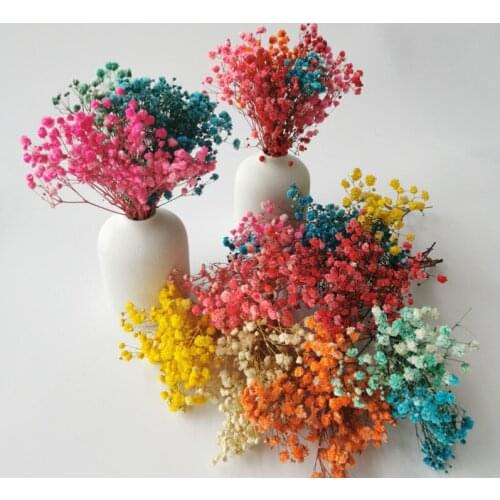 Mini Gypsophila Wheat Rabbittail Dried Flower Accessories With Vase Study Room Decoration Gifts Natural Flores Secas Ornaments