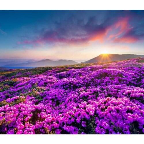 GATYZTORY Oil Painting By Numbers Flower For Kids Adults Children Handpainted Unique Gift Lavender Home Decor Art 40x50cm