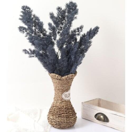 High Quality Natural Plantas Preserved Flores Peng Lai Song Dried Flower Photo Props DIY Home Decor Wedding Accessories