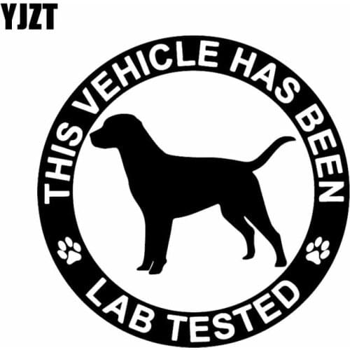 YJZT 15.5X15.5CM Creative Car Sticker Vinyl Decal This Vehicle Has Been Lab Tested Labrador Retriever Black/Silver C24-1435