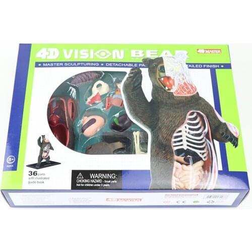 Black bear teaching model 4D MASTER puzzle assembly toy animal biological organ anatomy medicine