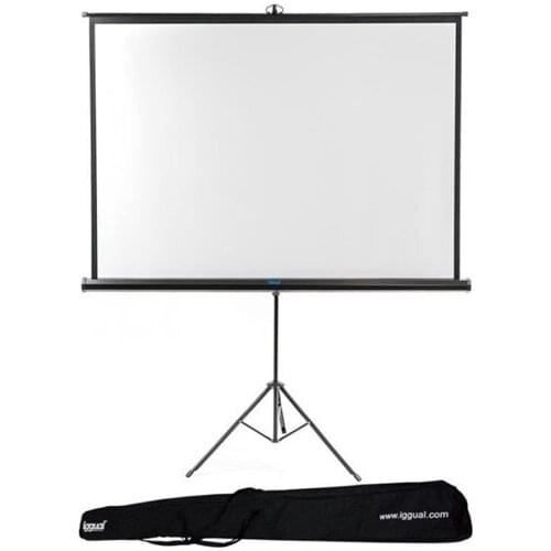 Wall screen with Tripod + Bag iggual PSITS180 180 x 180 cm