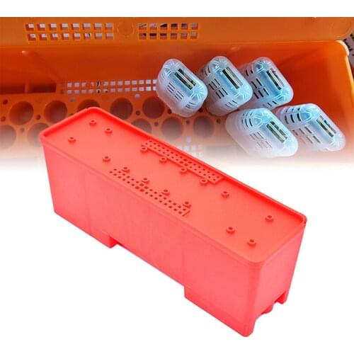 Beekeeping Supplies Queen Bees Shipping Box With Queen Cages Rearing Equipment Queen Cell Plastic Incubator