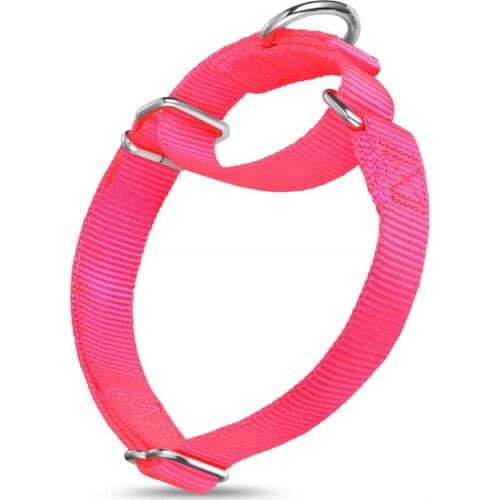Martingale Nylon Dog Collar For Small Mid and Big Dogs