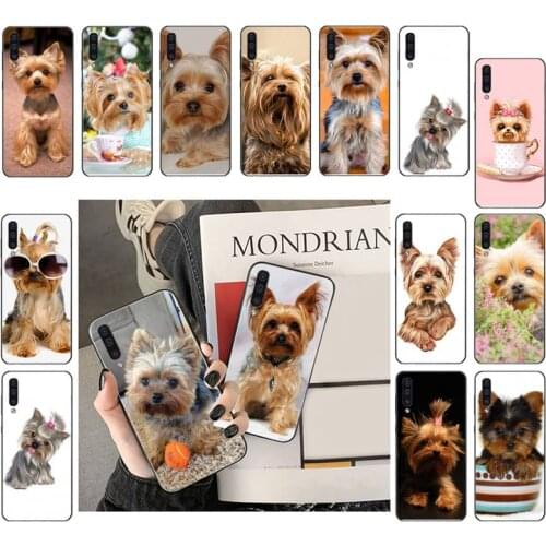 Yorkshire Terrier Dog Puppy Phone Case For Samsung A41 A31 A50 A32 A11 A12 A02 A52 A21 M31 A72 A51 A70 A71 A21S