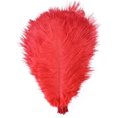 10PCS High Quality Red Ostrich Feathers DIY Wedding Clothes Decoration Lamp Shade Accessories Fluffy Plumes For Crafts Wholesale
