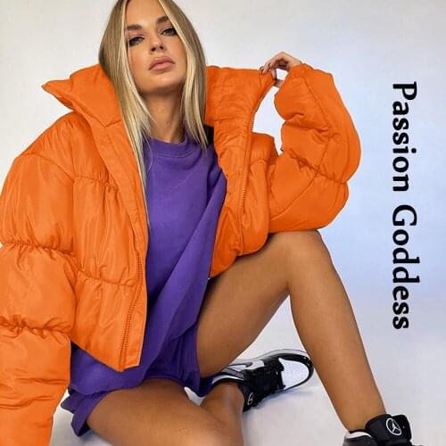 Winter Women Loose Puffer Jacket Vinatge Y2k Style Thick Warm Bubble Coats Parkas Down Zipper Cropped Jacket Parkas Stand Collar