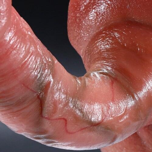 Realistic Dildo Huge skin feeling Sex Toys For Women Thick Dildo Massager Realistic Penis Glans Stimulation Anal Plug Adult Toys