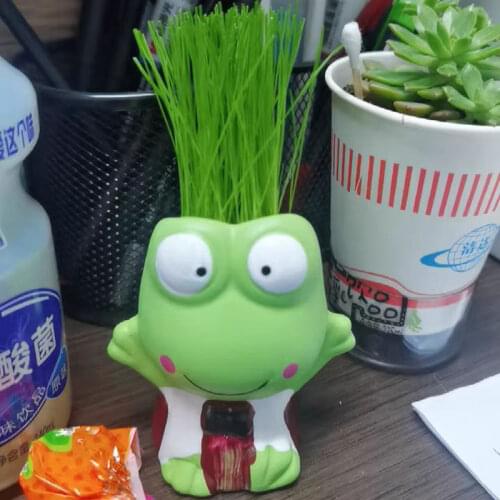 Cute flog Pot Vase Creative Ceramic Cartoon Flower Pot Succulent Flower Pot Home Decoration Crafts Dental Clinic Gift Toy