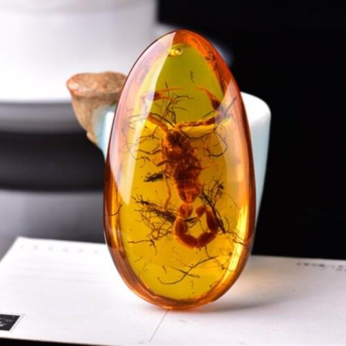 Scorpion Amber Necklace Pendant Men Women Fashion Charms Jewellery Natural Baltic Amber Necklaces Drop Pendants Amulet Gifts