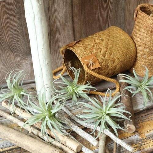 Artificial Air Pineapple Succulent Leaf Flocked Fake Plant Table Flower Wedding Bouquet Decoration Home Decor artificiales