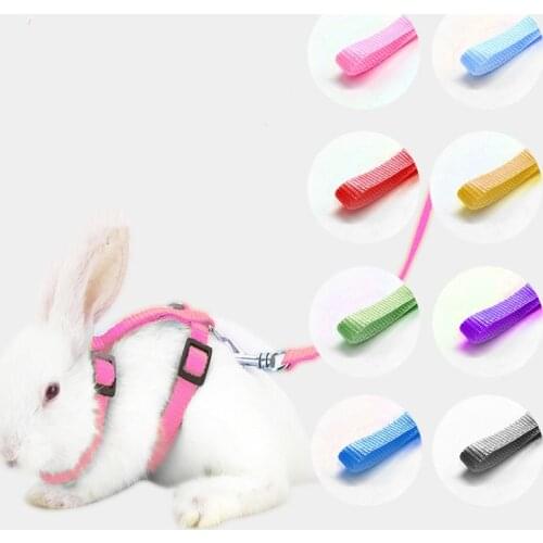 Bunny Rope Chain Small Pet Walking Rabbit Rope Retractable Chest Harness Toy Rabbit Traction Rope