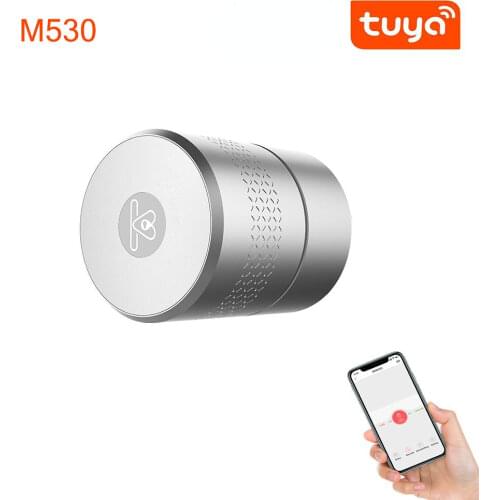 Airbnk M530 Door Lock TUYA Zigbee Smart Lock Fingerprint Smart Home Remote Control Lock Use Original Cylinder Upgrade Door Lock