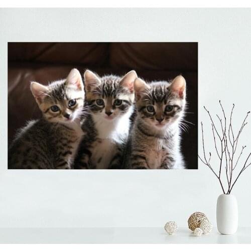 Nice Custom Animal 02 Cat Canvas Poster Print painting Art Wall Silk Poster cloth print Fabric Poster