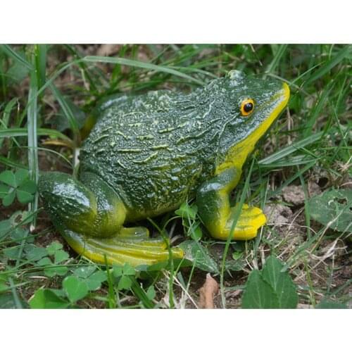 Mini Frog Resin Ornament for Home Garden Backyard Outdoor Decoration - Green