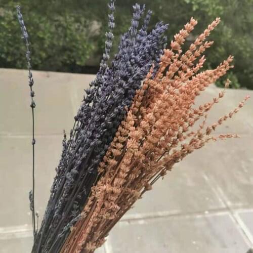 50g/25-40cm,Natural Preserved Lavender bouquet,Real Lavender bunches Arrange flowers for Wedding home Decoration accessories
