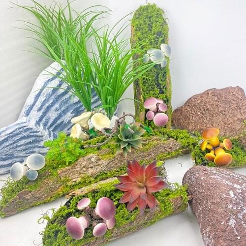 Moss, tree bark, garden decorations, flowers, forest landscaping, tropical rainforest, wedding Christmas props