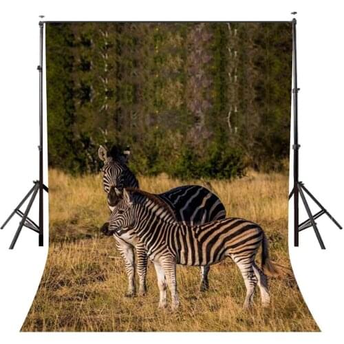 5x7ft Stopped Zebras Backdrop Outdoor Travel Photography Background Studio Props