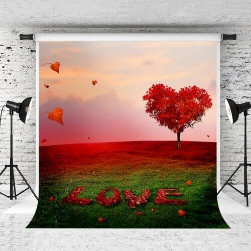 VinylBDS 5x7ft ValentineS Day Photo Studio Backdrop Background Wedding Photography Studio Cotton Love Photography Backdrop
