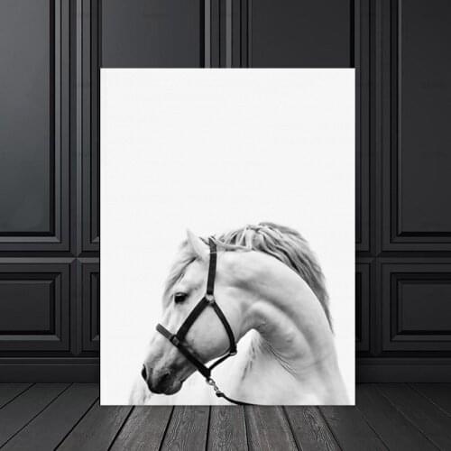 New Arrive Minimalist White Horse Canvas Painting Animals Posters Pictures Decorative Prints Wall Art Photo for Living Room Home
