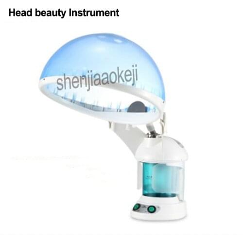 1pc Home Electricity Ozone aroma steaming facial beauty Instrument Hair baked oil machine face head sauna skin moisture device