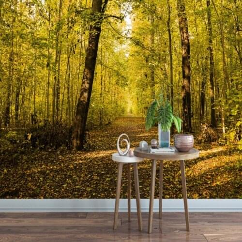 Dropshipping Colomac Wallpaper 3d Forest Sunset Sunlight Shining Wallpapers for Living Room Mural Wallpaper Carta Da Parati 3d