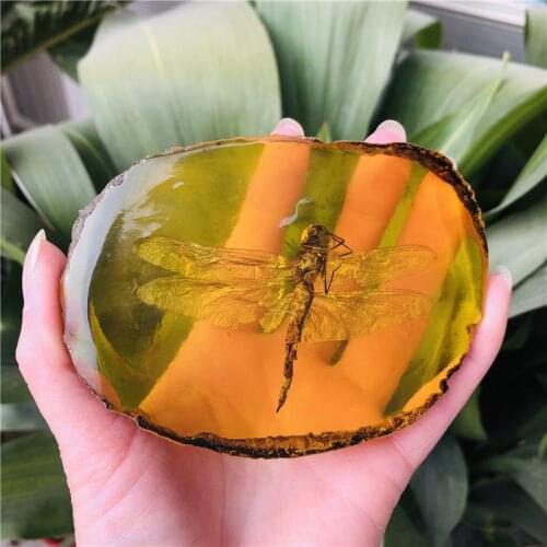 100 mm natural amber.The butterfly.Biological specimens