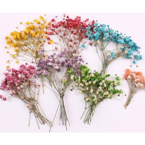 12pcs one pack 5-8 cm real dried pressed flower Gypsophila dried flowers branch craft for DIY glass dome resin filling