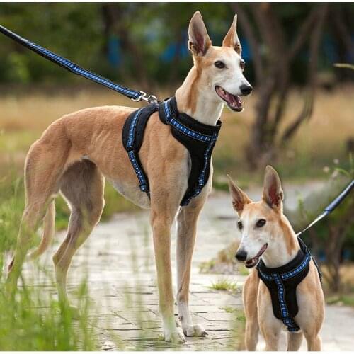 Durable Mesh Pet Dog Harness Collar Reflective Padded Dog Vest Harness Adjustable No Pulling Pet Harnesses For All Dog Breed Hot