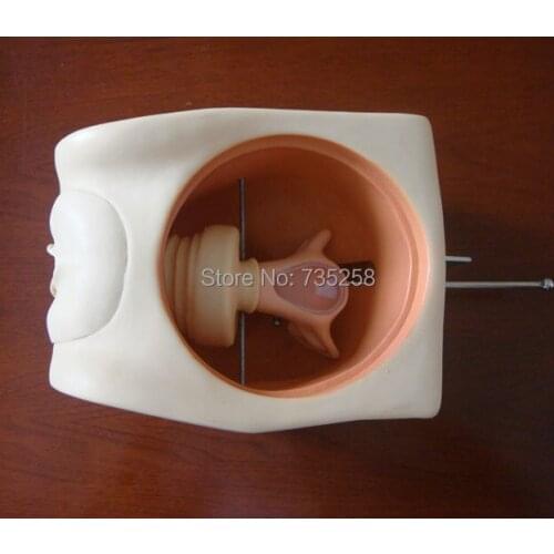 Female Contraception Simulator,Family Planning Education Model