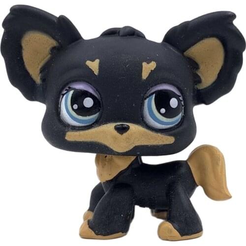 LPS CAT Rare pet shop toys black CHIHUAHUA dog #1571 old original puppy pet figure girls animal toy