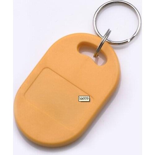 125khz EM4100 frequency Access control card RFID Tag Keychain/Proximity Tag For ID Reader Use