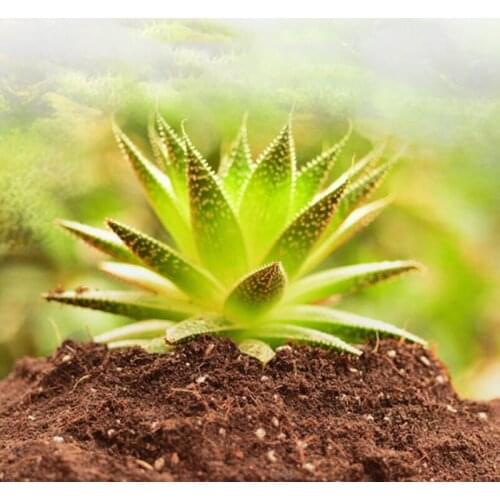 200g / Bag Organic Flowers And Vegetables Soil Peat And Breathable Soil Nutrients, Gardening Articles Composite