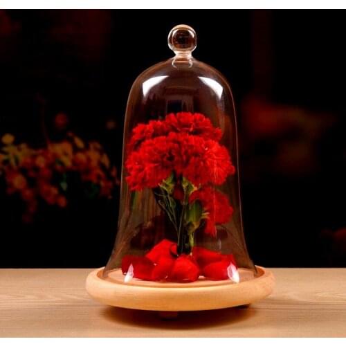 15*24cm Big Size Bell Shaped Glass Dome Vase Home Decoration Transparent Cover DIY Friend Favor Business Gift Wedding Prop