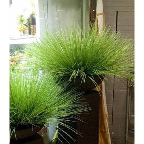 Artificial leave simulation grass leaf onion grass silk flower decoration flower arranging lawn engineering simulation plants AP
