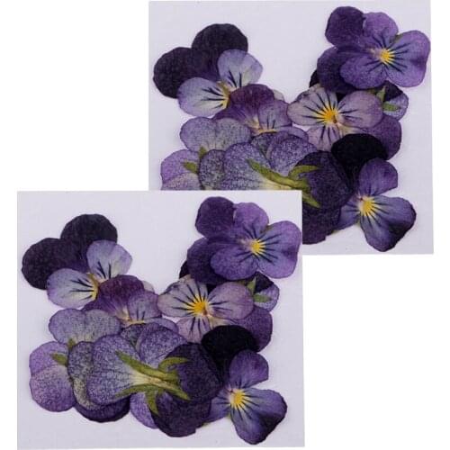 24 Pieces Violet Natural Real Dried Flowers For DIY Crafts Scrapbooking Nail Art Jewelry Making DIY Necklace Pendants