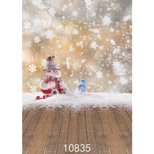 Vinyl Custom Photography Prop Christmas day theme Photo Studio Background MS-1509