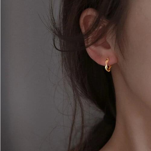 European and American geometric earrings simple atmosphere fashion gold-plated silver earrings temperament woman female fairy