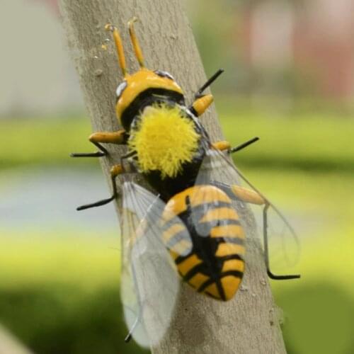 5 Pieces of Realistic Wild Bee Animal Insect Ornament Decoration Kids Fuuny Toy