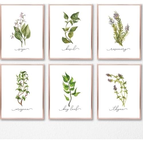 Herb Collection Wall Art Canvas Posters Painting Oregano Sage Rosemary Basil Thyme Wall Picture Print Kitchen Decor